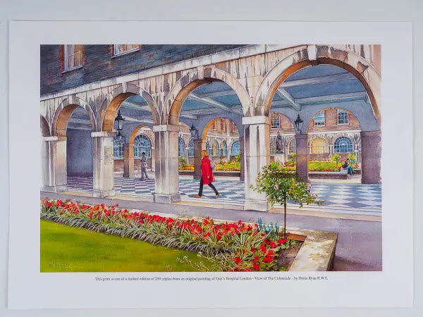 Guy's Hospital, view of the Colonnade Print