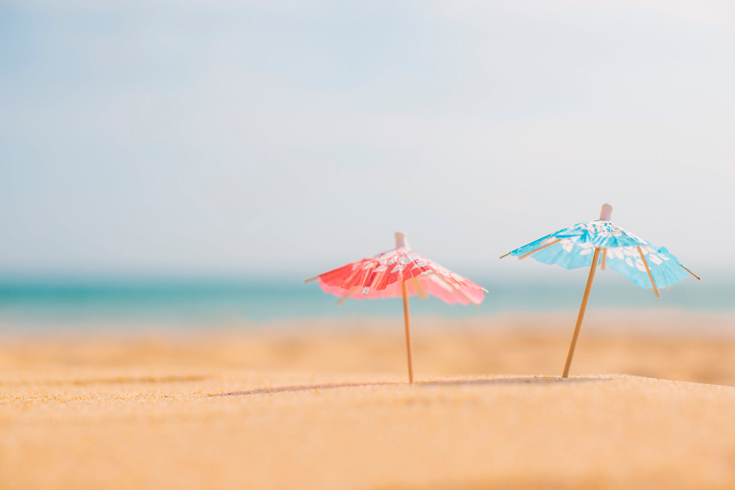 Summer Sale