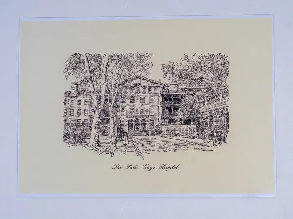 The Park, Guy's Hospital Print