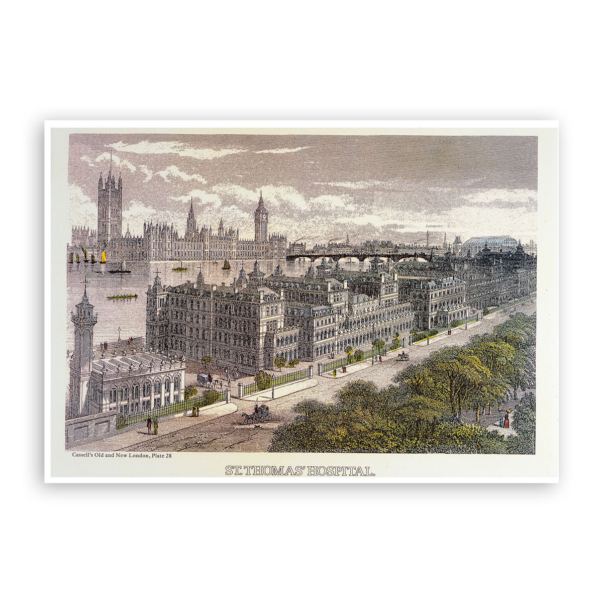 St Thomas' Hospital Print