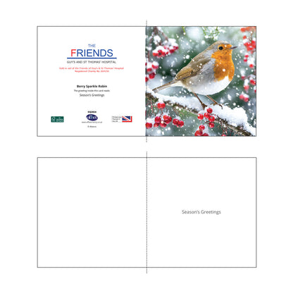 2026 Berry Sparkle Robin - Christmas Card